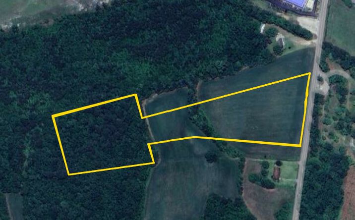 Pictures of Land property located at Raccoon Road Manning, SC 29102, Manning, SC 29102 for sales - image #1