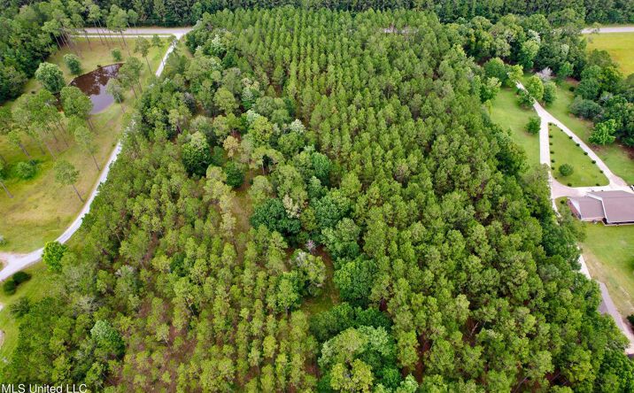 Pictures of Land property located at 20593 Robinson Road, Gulfport, MS 39503 for sales - image #1