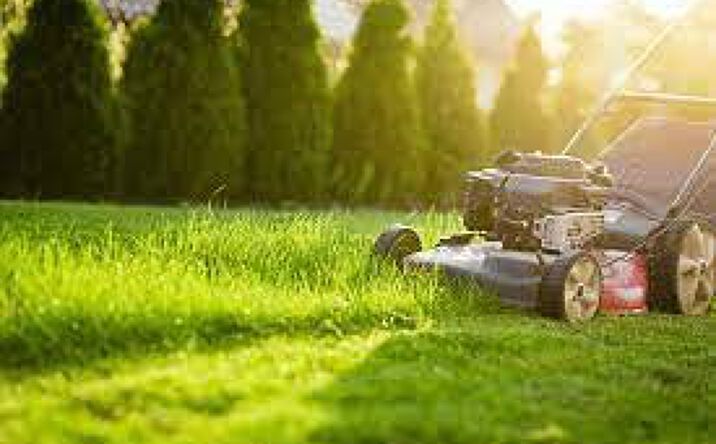 Pictures of Business for Sale property located at Lawn Care and Snow Removal, Major metro, MO 65714 for sales - image #1