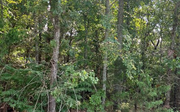 Pictures of Land property located at Larkspur Ln, Mountain Home, AR 72653 for sales - image #1
