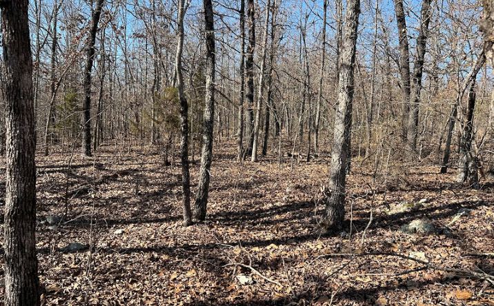 Pictures of Land property located at 000 Starfield Trail, Mammoth Spring, AR 72554 for sales - image #1