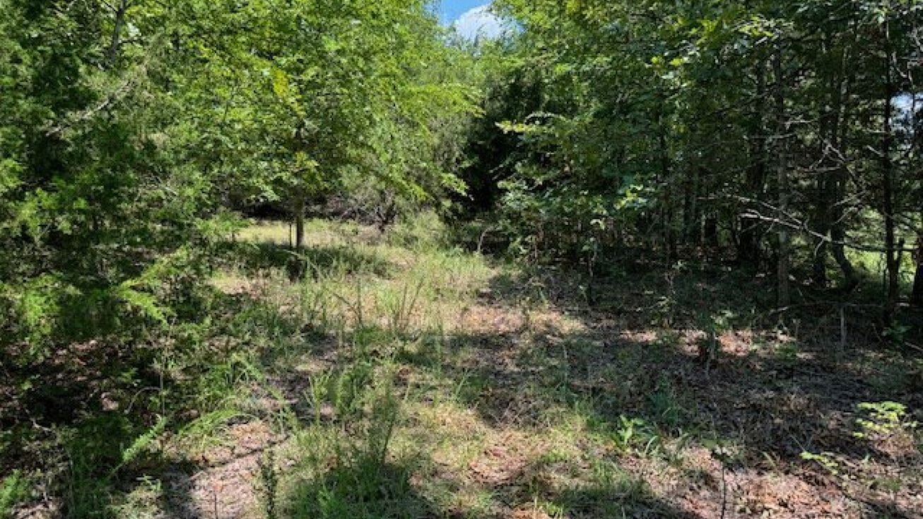 Country Spring Rd, Glencoe, AR 72576 | Crexi.com