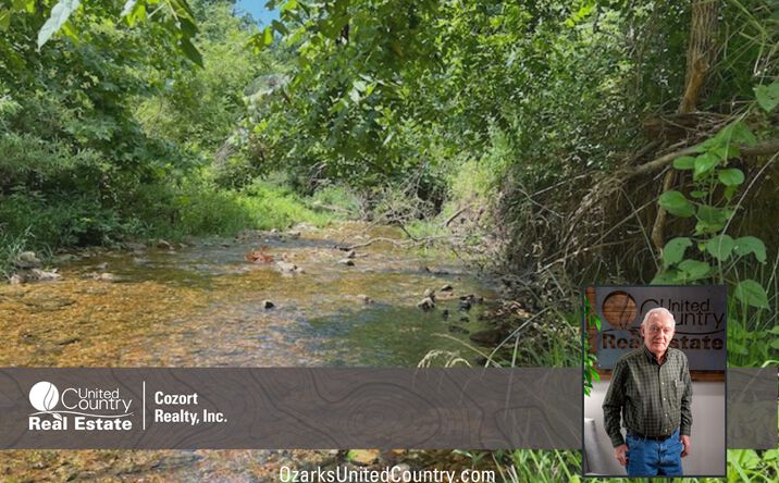 Pictures of Land property located at 766 Rainbow Valley Trail, Mammoth Spring, AR 72554 for sales - image #1