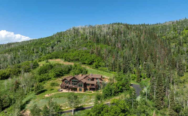 Pictures of Land property located at 31050 Sweetwater Drive, Steamboat Springs, CO 80487 for sales - image #1