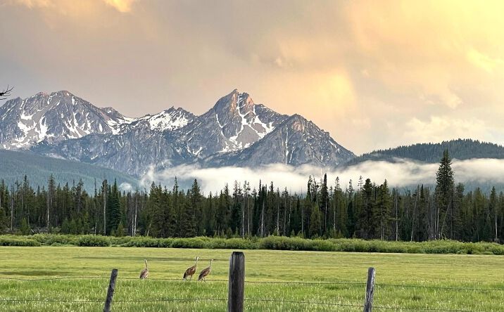 Pictures of Land property located at TBD Hwy 21, Stanley, ID 83278 for sales - image #1