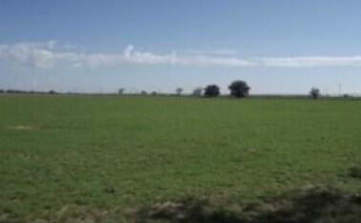 Pictures of Land property located at 1560 Nm-41, Estancia, NM 87016 for sales - image #1