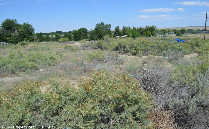 Pictures of Land property located at XXX ROAD 4990, Bloomfield, NM 87413 for sales - image #1