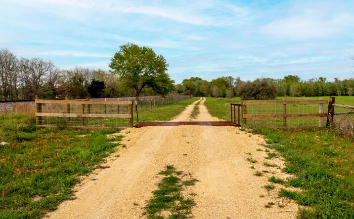 Pictures of Land property located at TBD FM 154, Flatonia, TX 78941 for sales - image #1