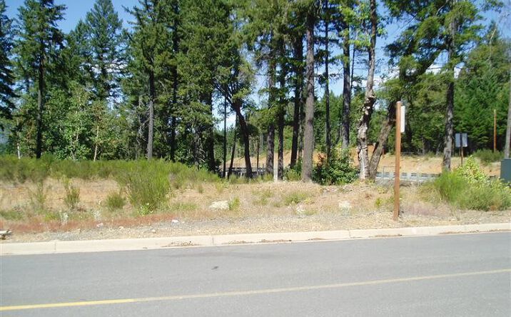 Pictures of Special Purpose, Land property located at 1301 Green Valley Drive, Cave Junction, OR 97523 for sales - image #1