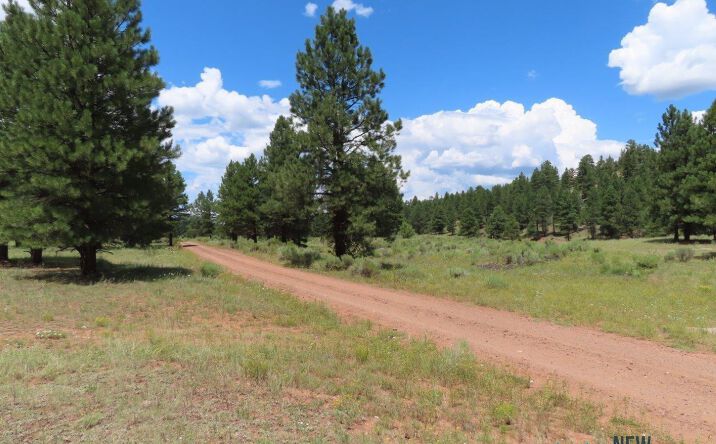 Pictures of Land property located at TBD Forest 50 Road, Grants, NM 87020 for sales - image #1