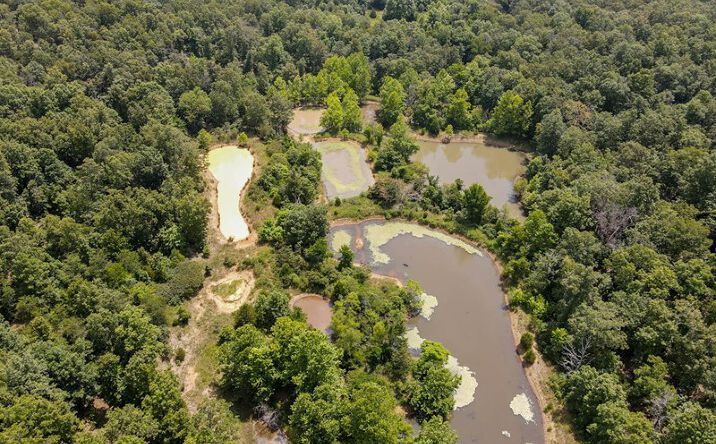 Pictures of Land property located at 153 Private Road 204-184, Alton, MO 65606 for sales - image #1