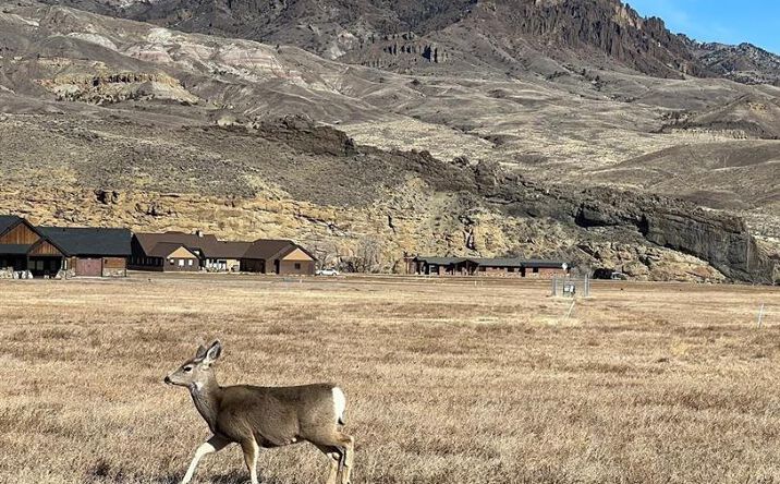 Pictures of Land property located at 134 Stillwater Dr, Wapiti, WY 82450 for sales - image #1