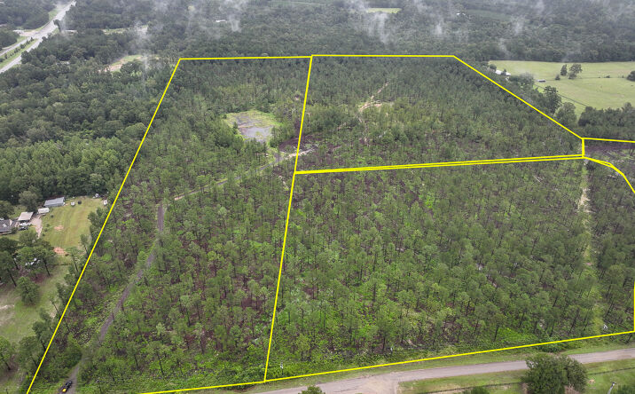 Pictures of Land property located at 2 CR 258, Jasper, TX 75951 for sales - image #1