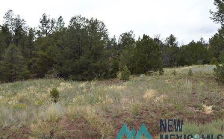 Pictures of Land property located at 157 Forest Road, Ramah, NM 87321 for sales - image #1