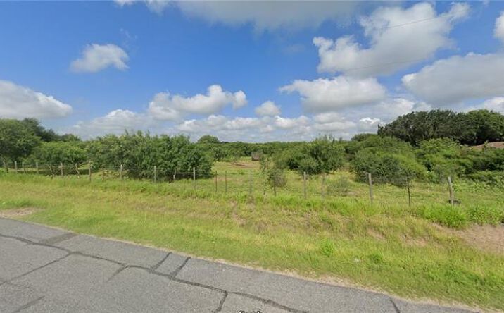 Pictures of Land property located at 00 N FM 493, Edinburg, TX 78542 for sales - image #1