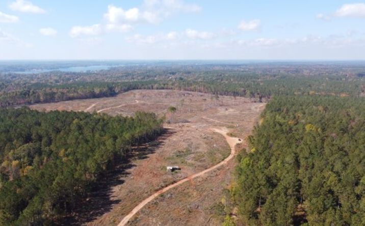 Pictures of Land property located at Barnett Road, Cross Hill, SC 29332 for sales - image #1