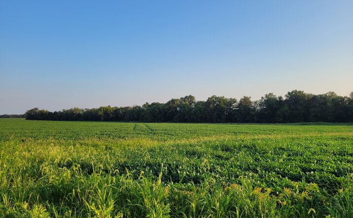 State Hwy DD, Bellflower, MO 63333 | Crexi.com