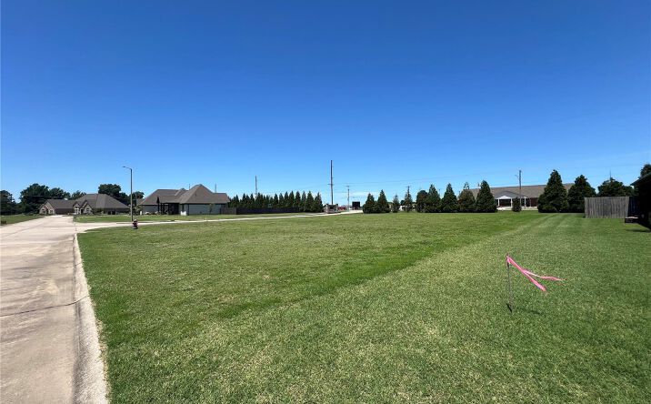 Pictures of Land property located at 0 Viburnum, Kennett, MO 63857 for sales - image #1