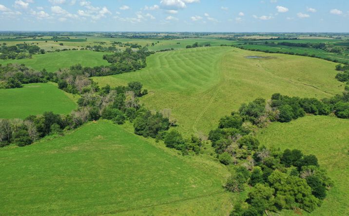 Pictures of Land property located at 0 210th Street, Mount Ayr, IA 50854 for sales - image #1
