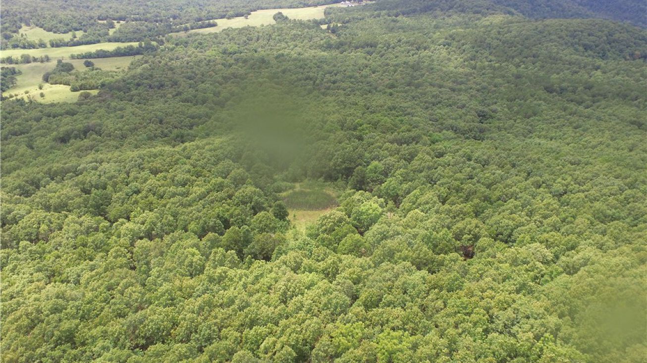 CR 733, Green Forest, AR 72638