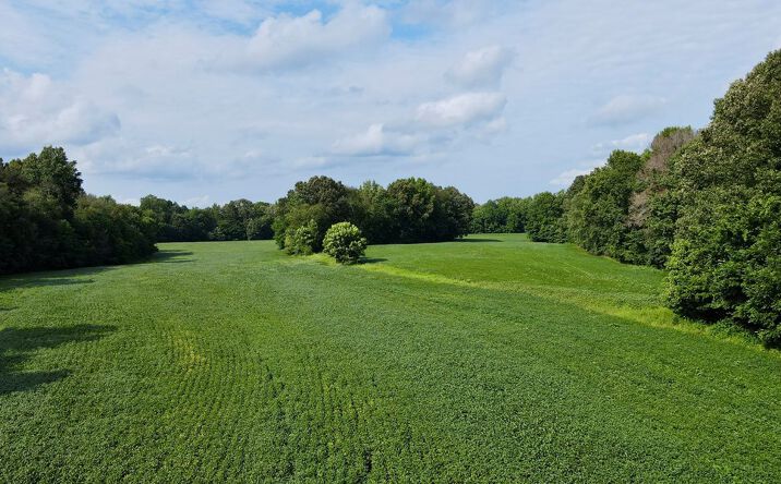 Pictures of Land property located at Herbert Neal Rd, Milan, TN 38358 for sales - image #1