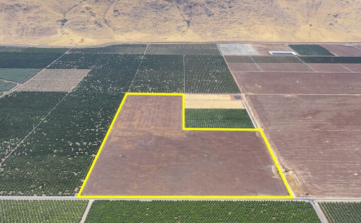 Pictures of Land property located at Road 164 & Avenue 384, Seville, CA 93292 for sales - image #1