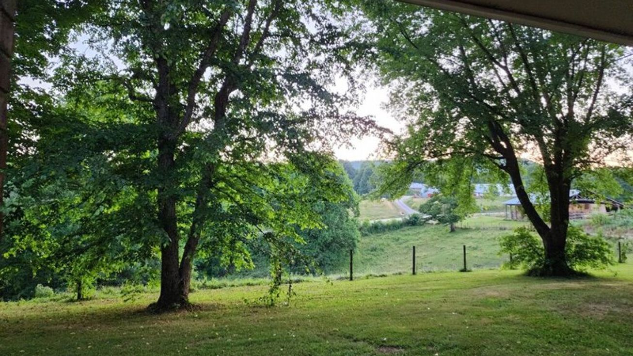 Pictures of Retail, Land property located at 172 Radical Road, McGrady, NC 28649 for sales - image #1