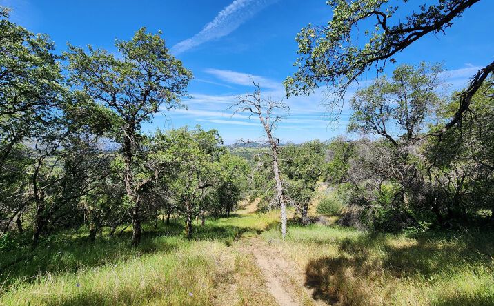 Pictures of Land property located at 16241 Beyers Lane, Grass Valley, CA 95949 for sales - image #1