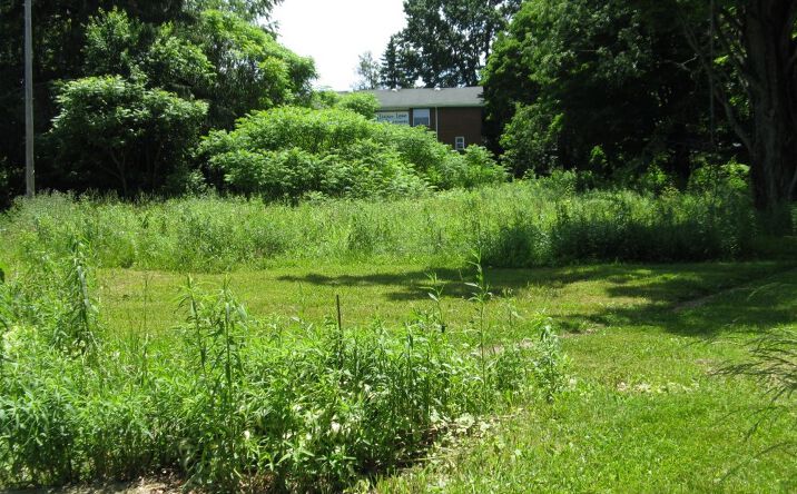 Pictures of Land property located at 204 Darrow Rd, Edinboro, PA 16412 for sales - image #1