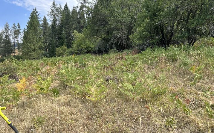 Pictures of Land property located at 622 Clearcreek Rd, Kooskia, ID 83539 for sales - image #1