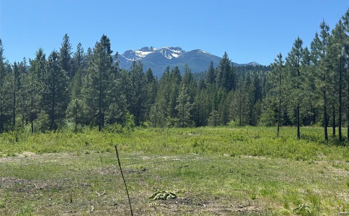 Pictures of Land property located at TBD Granite Lake Road 3, Libby, MT 59923 for sales - image #1
