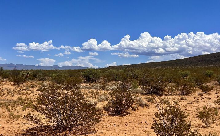Pictures of Land property located at 90 Cutter Road Road, Cutter, NM 87901 for sales - image #1