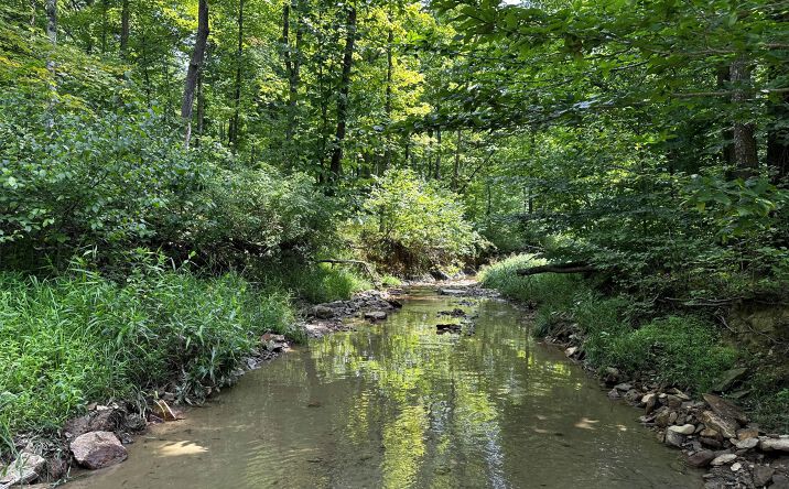 Pictures of Land property located at 0 Township Rd 57, Roseville, OH 43777 for sales - image #1