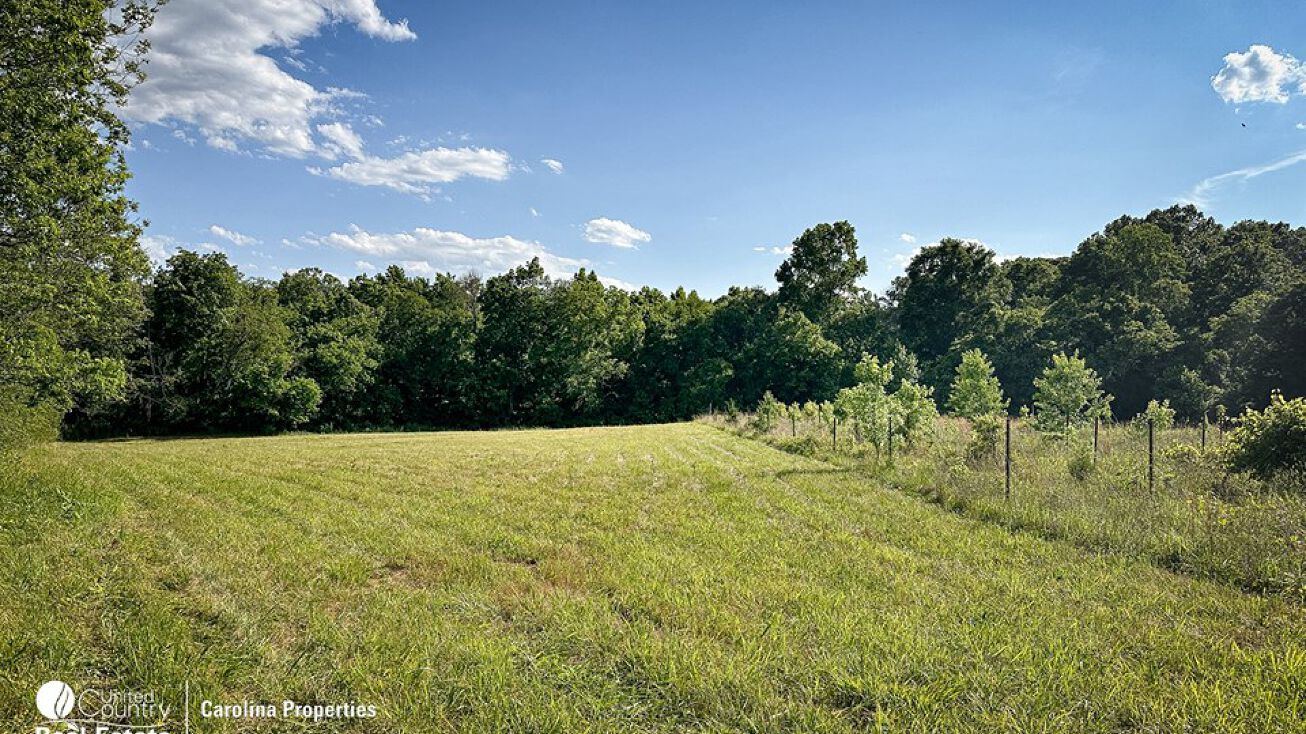 17 AC Mount Vernon Road, Woodleaf, NC 27054