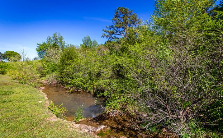 Pictures of Land, Business for Sale property located at 0 Highway 16 East, Shirley, USA 72153 for sales - image #1