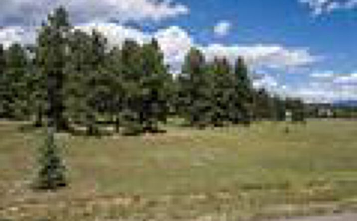 Pictures of Land property located at 1520 Antelope Ave, Pagosa Springs, CO 81147 for sales - image #1