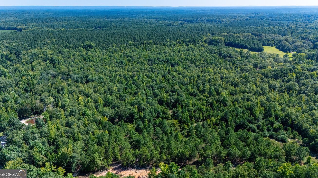 0 Branch Hebron Road, Greenville, GA 30222