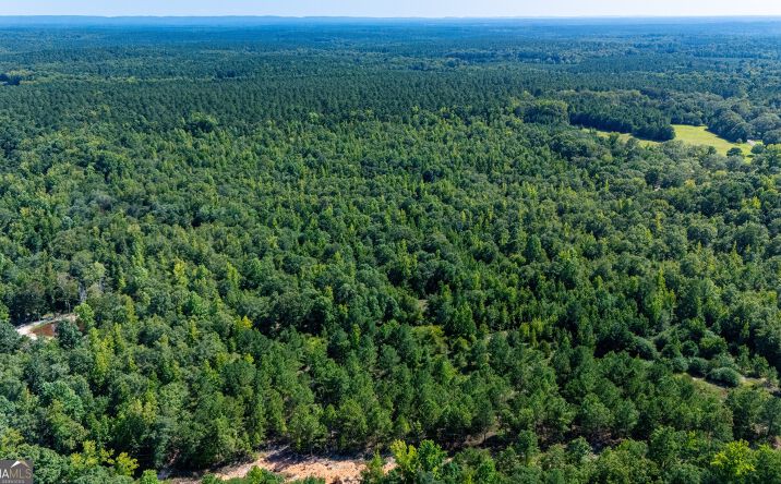 Pictures of Land property located at 0 Branch Hebron Road, Greenville, GA 30222 for sales - image #1