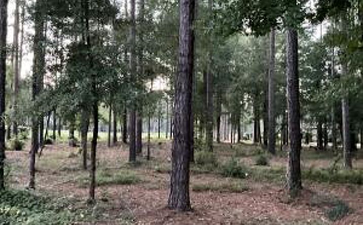 Pictures of Land property located at 3360 Glenview Drive, Aiken, SC 29803 for sales - image #1