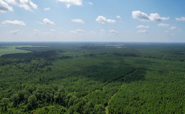 Pictures of Land property located at HLP 74, Monticello, AR 71657 for sales - image #1