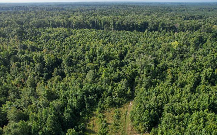 Pictures of Land property located at HLP 49, Monticello, AR 71657 for sales - image #1