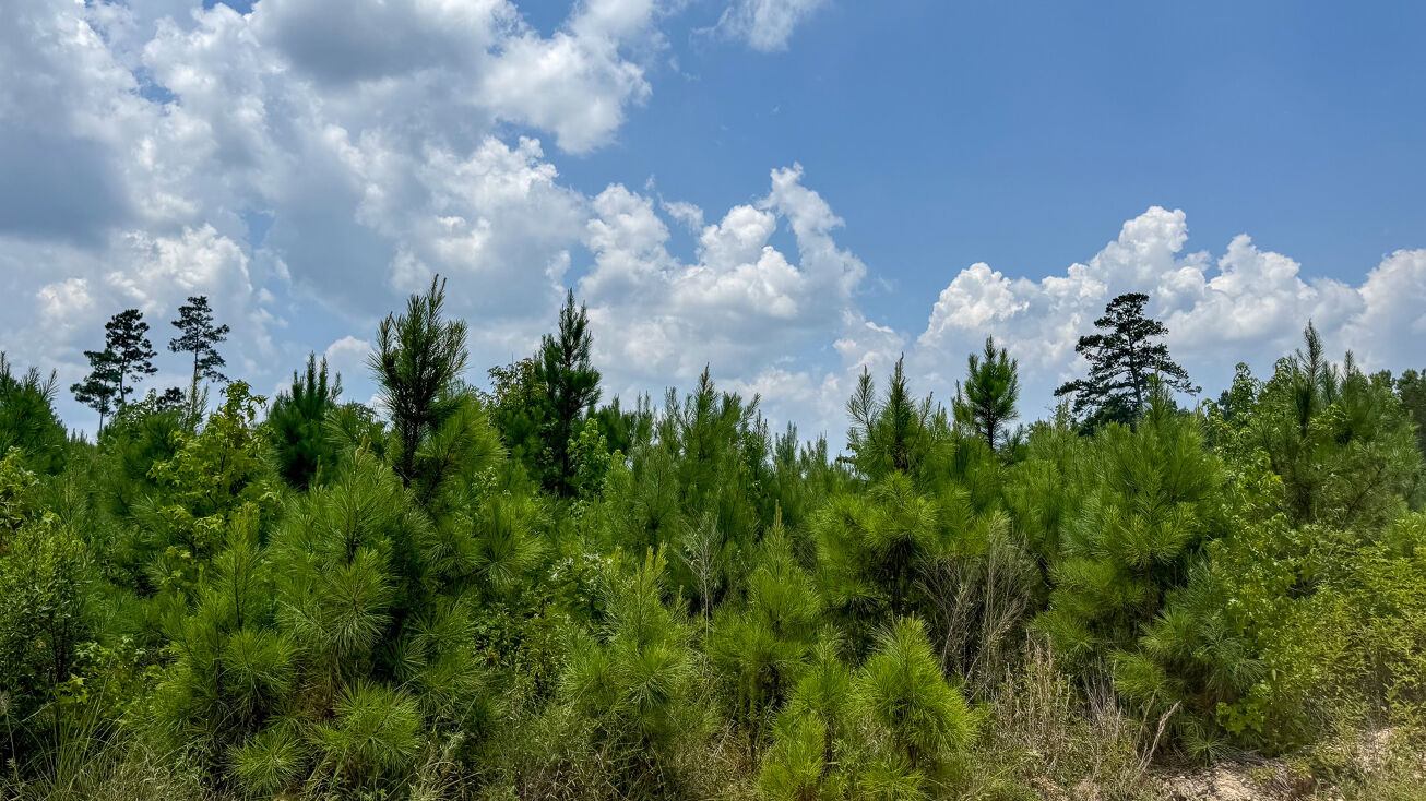 Poison Springs 2, Camden, AR 71701