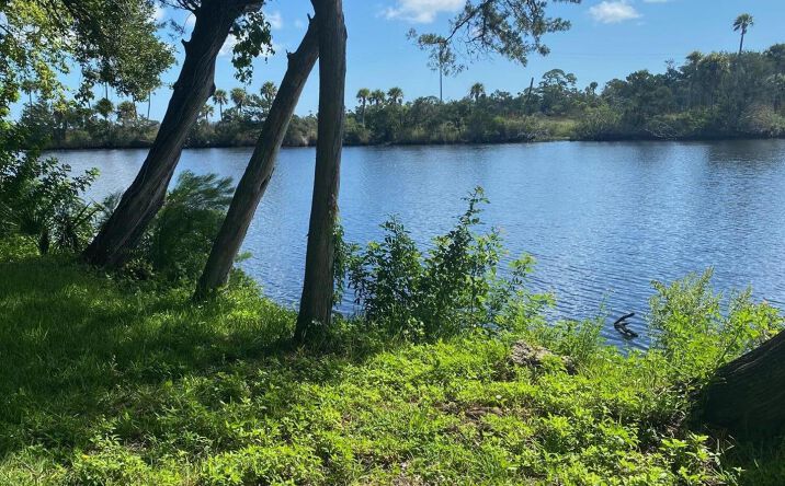Pictures of Land, Special Purpose, Retail property located at 1005 US Highway 1, Ormond Beach, FL 32174 for sales - image #1