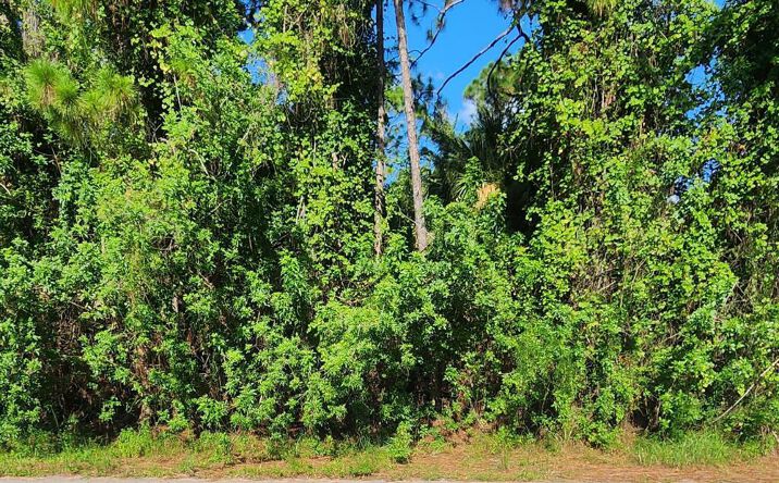 Pictures of Land property located at 1639 Olympia Avenue SW, Palm Bay, FL 32908 for sales - image #1