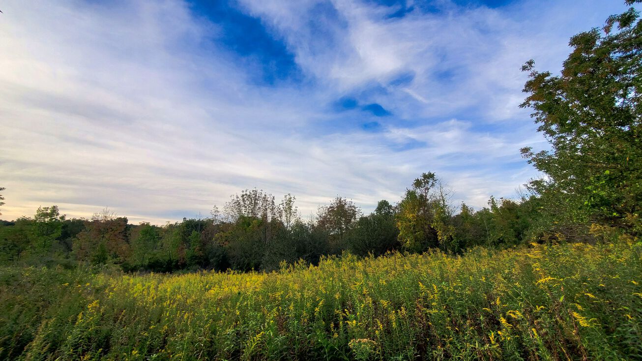 N Tower Hill Rd, Millbrook, NY 12545