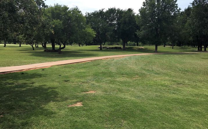 Pictures of Land property located at 153 Amy Dr, Brownwood, TX 76801 for sales - image #1