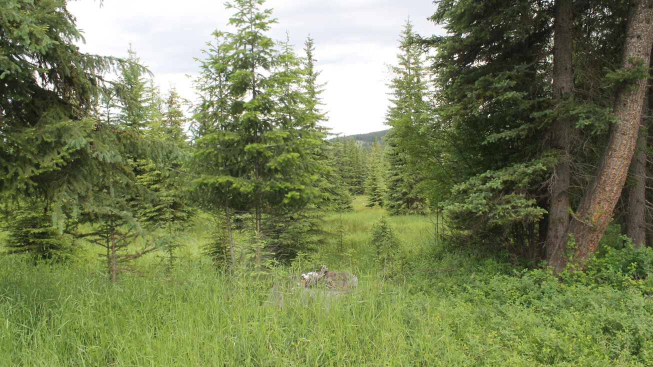 Land For Sale Rexford Montana at Linda Delp blog