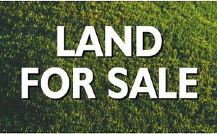 Pictures of Land property located at 0 E 4th Rd, Oglesby, IL 61348 for sales - image #1