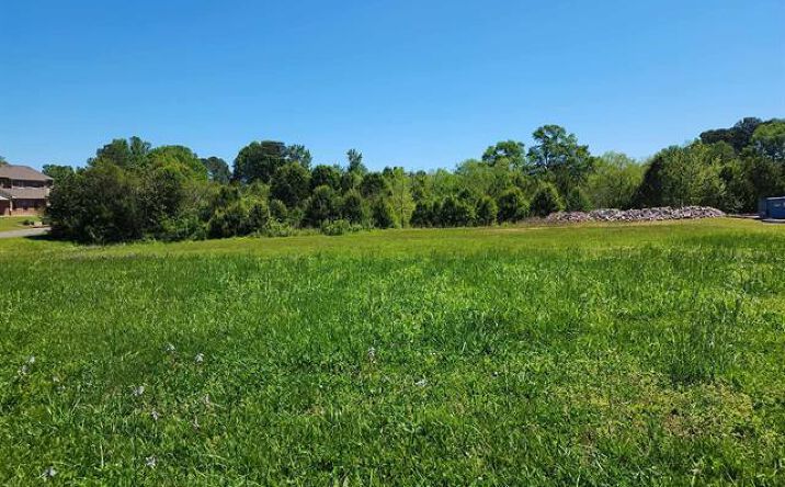Pictures of Land property located at 0 Lee Ave, Cullman, AL 35055 for sales - image #1