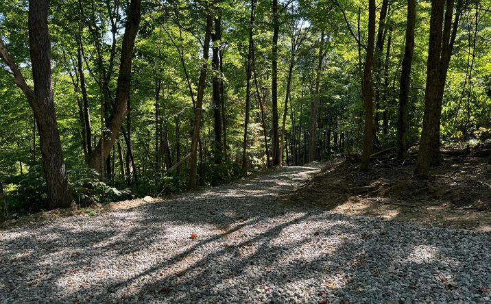 Pictures of Land property located at 2780 Potts Hill Road, Bainbridge, OH 45612 for sales - image #1